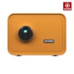 Colorful Fingerprint Fireproof Home Safe Box of BGX-M/D-25-QC